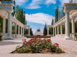 Рабочая неделя в Волжском начнется с хорошей погоды