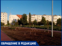 «Это так наша администрация работает на благо города и его жителей?» - волжанин