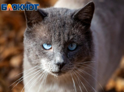 Солнечно и без осадков: смухлевать погоде не получится