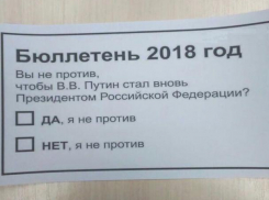 Волжане посмеялись над «риторическим» бюллетенем 2018 года