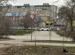 Вой ночами и нападения на людей: в Волжском жители страдают от огромной стаи прикормленных собак