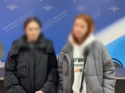 В Волжском полиция нашла подростков, избивших световых снеговиков: видео