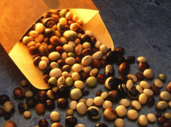 Какую опасность для волжан таит соя?