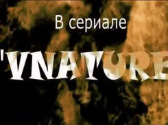 Камышинский сериал «Внатуре» покоряет YouTube