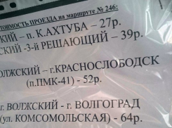 Депутаты Волгоградской облдумы внезапно потребовали снизить стоимость проезда