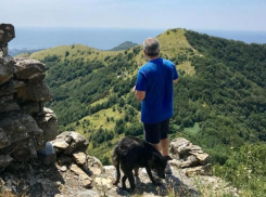 Хвостатая Мишель отдыхает по-итальянски