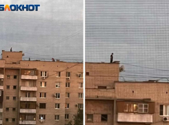 Подростки устроили догонялки на крыше высотки в Волжском