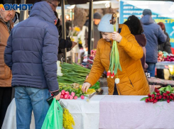 В Волжском самозанятые могут формировать свою пенсию самостоятельно