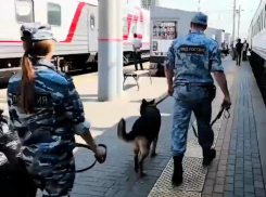 В Волгоградской области стартовала «Звезда Каспия»: о преступлениях просят сообщать в полицию