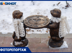 Волжане утеплили фигурки сусликов, связав им шарфы и шапки: фоторепортаж