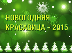 Проголосуй за лучшую «Новогоднюю красавицу-2015»