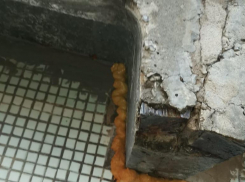 Почти год жители собирают воду после дождя в многоквартирном доме в Волжском