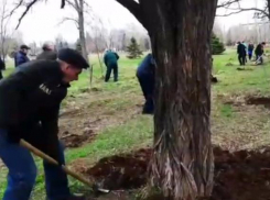 Дирижерские палочки и смычки музыкантов Волжского заставили променять на грабли и лопаты