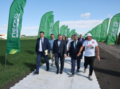 «Волгоградская область готова к проведению Всероссийского дня поля», - Андрей Бочаров