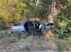«Не справился с управлением и врезался в дерево»: близ Волжского произошло ДТП с пострадавшими