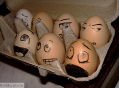 Сальмонелла отступает от волжан