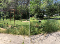 С приходом лета Волжский превратился в непролазные джунгли