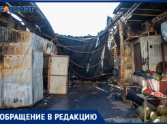 Полчища мух и трупный запах с пепелища рынка «Людмила» не дают окрестным жителям спокойно жить