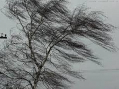 Ветреную погоду в день Крещения Господня пообещали в Волжском