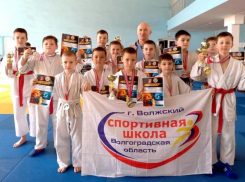 Волжские рукопашники привезли 20 медалей с областного первенства