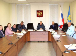 В Волжском создали рабочую группу для решения проблем с бездомными собаками