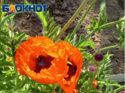 Тепло и ветрено будет во вторник в Волжском: прогноз погоды