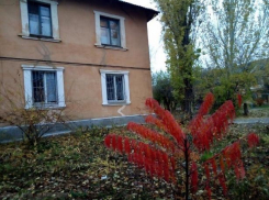 Солнечную погоду пообещали волжанам в выходной день