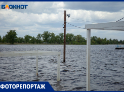 Пляжи потонули, паром отменил рейсы: разлив Ахтубы в Волжском в объективе фотографа 