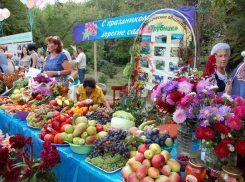 На ежегодном празднике урожая волжанам показали 29-килограммовую тыкву