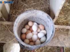 В Волжском зафиксировано снижение цен на сельскохозяйственную продукцию 