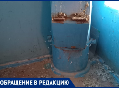 «Все загадили и устроили гнезда»: голуби превратили подъезд в кошмар для жильцов в Волжском