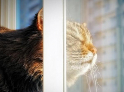 Штиль и +15 пообещали волжанам в апрельскую среду