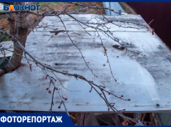 Первые заморозки пришли в Волжский: фоторепортаж