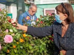 Не боимся третьей волны: волжане отказываются от вакцинации и самоизоляции