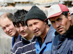 Волгоградка предоставила липовое жилье 69 приезжим