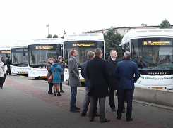Самая крупная партия новых автобусов в истории Волжского выехала на маршруты