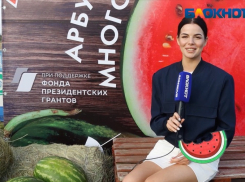 Фестивалем «Арбузное многоборье» Волжский отметил последние дни августа 