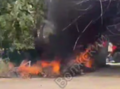 Сухие ветки могли стать причиной пожара у мусорных баков в Волжском