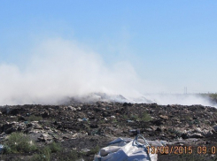 Мэрия Волжского требует наказать владельцев горевшего полигона