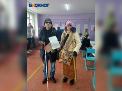 На избирательном участке в Волжском проголосовали лиса Алиса и кот Базилио