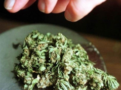 26-летний житель Николаевского района спрятал в машине друга партию марихуаны 