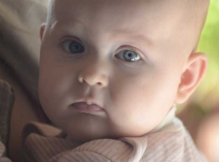 Волгоградский художник спасает онкобольную дочь, распродавая коллекцию картин