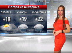 Пасмурно, дождливо и ветрено: какими будут выходные в Волжском