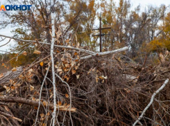 4 месяца не отдают вещи: защитники Волга-Ахтубинской поймы намерены жаловаться Бастрыкину
