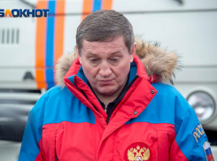 Снять губернатора Бочарова с выборов в Госдуму предложил Волгоградский депутат