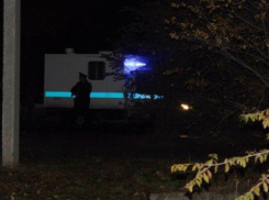 Полтысячи волжан пришли на следственные действия, чтобы выразить свою ненависть к Александру Масленникову