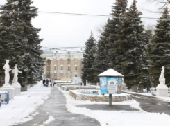 Волжане решили открыть аллею в честь известного поэта