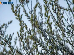 Не спать на чужой подушке в пятницу советует волжская травица