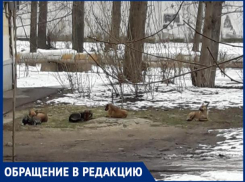 «Мы боимся за свою жизнь», - волжанка