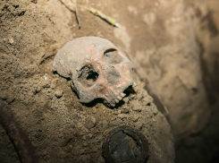 В Волжском возле базы «Энерготехмаша» обнаружены человеческие останки